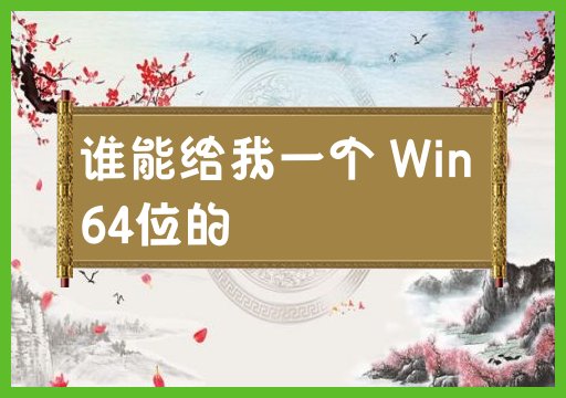 谁能给我一个 Win 64位的