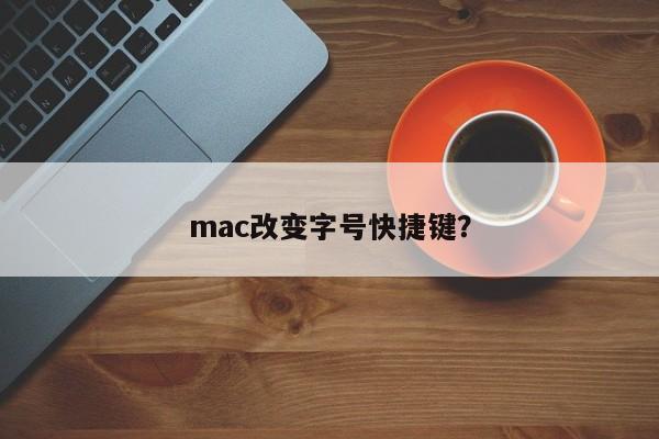 如何快速改变Mac的字号？