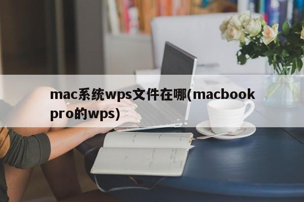 mac系统wps文件在哪(macbookpro的wps)