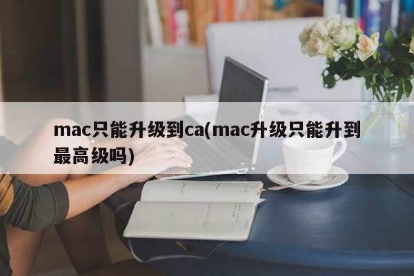 mac的升级限制：最高级别就是CA吗？