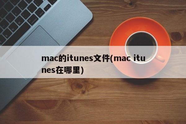 mac的itunes文件(mac itunes在哪里)