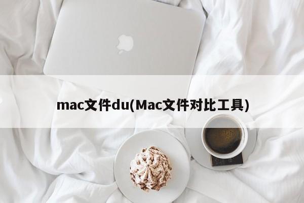 mac文件du(Mac文件对比工具)