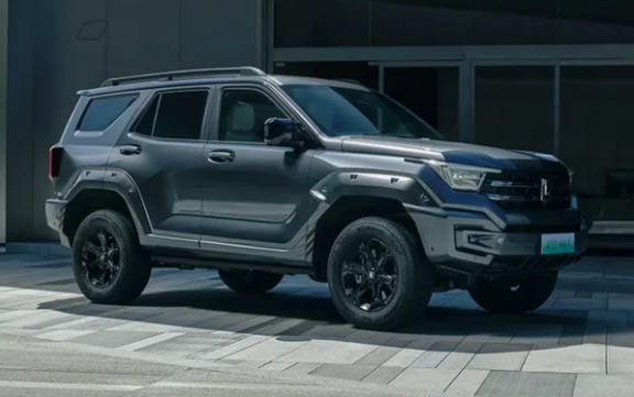 长城汽车扩大新能源直营门店网络，谋求市场新突破