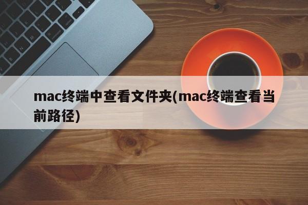 mac终端中查看文件夹(mac终端查看当前路径)