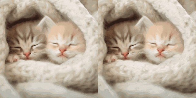 即插即用,完美兼容:SD社区的图生视频插件I2V-Adapter来了