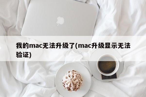 我的mac无法升级了(mac升级显示无法验证)