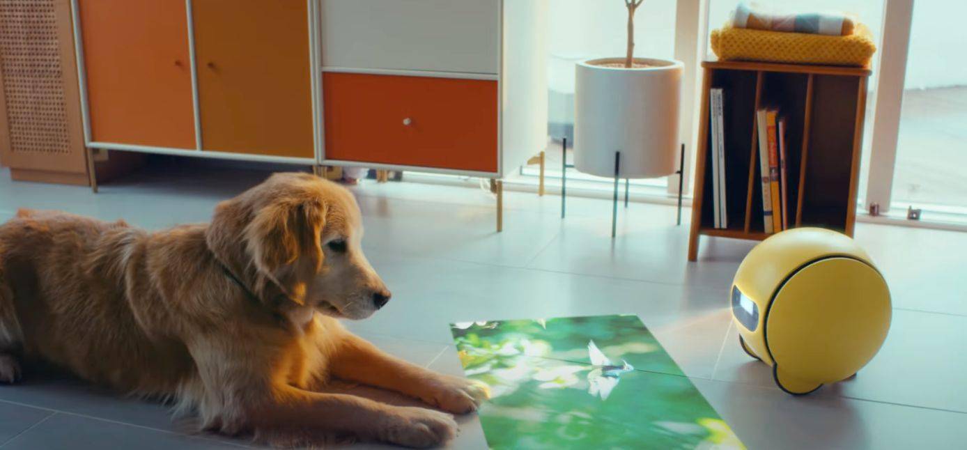 你的私人家庭伴侣,三星再次展示家用投影机器人 Ballie