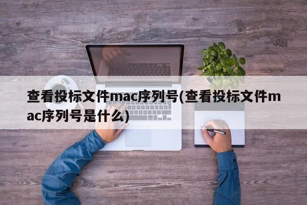 查看投标文件mac序列号(查看投标文件mac序列号是什么)