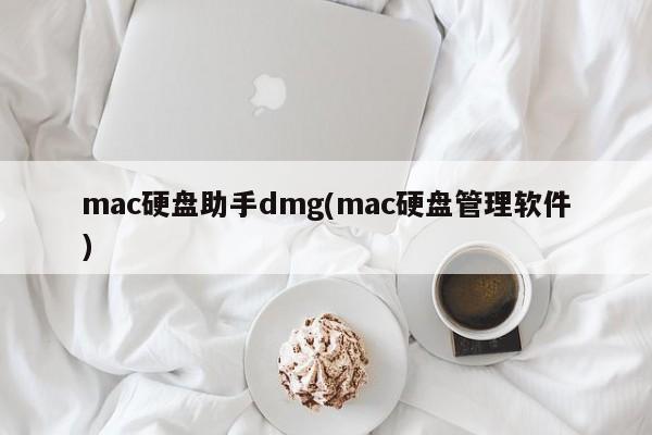 mac硬盘助手dmg(mac硬盘管理软件)