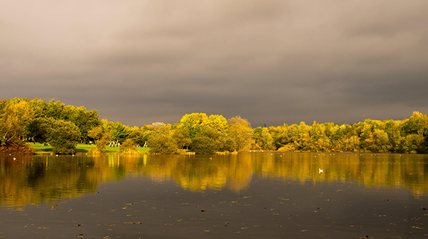 摈弃Python的for循环的挑战