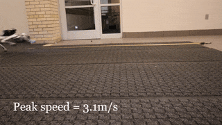 CMUÐ实现突破:机器狗点满敏捷值天赋,超高速穿越障碍,速度与安全兼备!