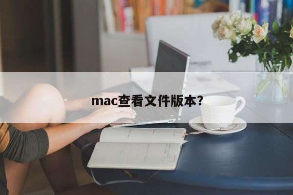 mac查看文件版本？