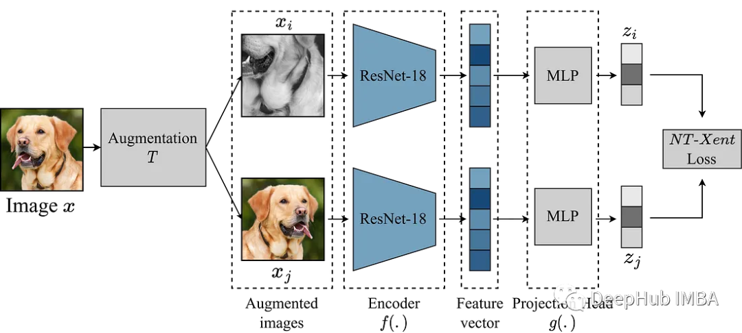 基于PyTorch的自监督预训练模型SimCLR的对比学习实现