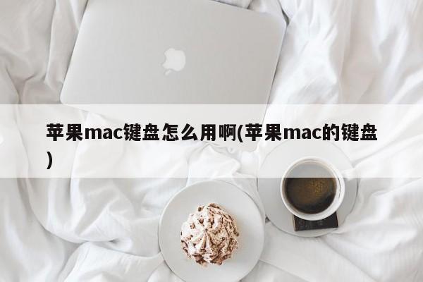 苹果mac键盘怎么用啊(苹果mac的键盘)