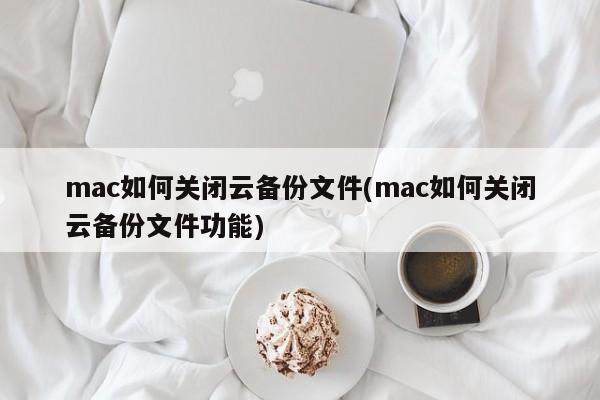 怎样在mac上禁用云备份功能？