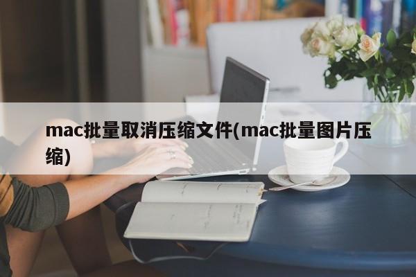 取消压缩文件：mac批量操作实现图片压缩
