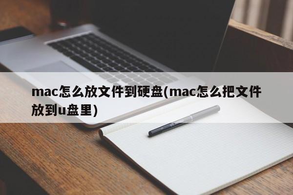 如何使用Mac将文件保存到U盘