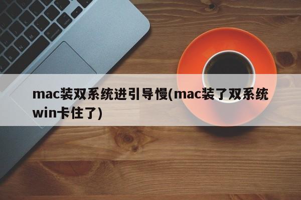 mac装双系统进引导慢(mac装了双系统win卡住了)
