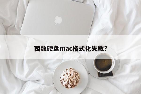 西数硬盘mac格式化失败?