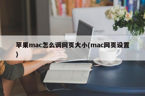 苹果mac如何更改网页尺寸设置
