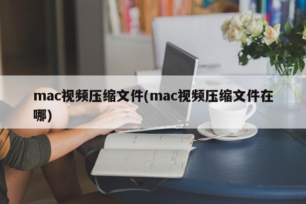 mac视频压缩文件(mac视频压缩文件在哪)