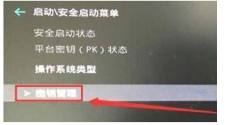 win11安全启动状态怎么打开?Win11安全启动状态开启的五种方法