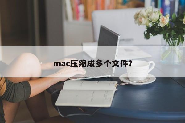 mac压缩成多个文件？