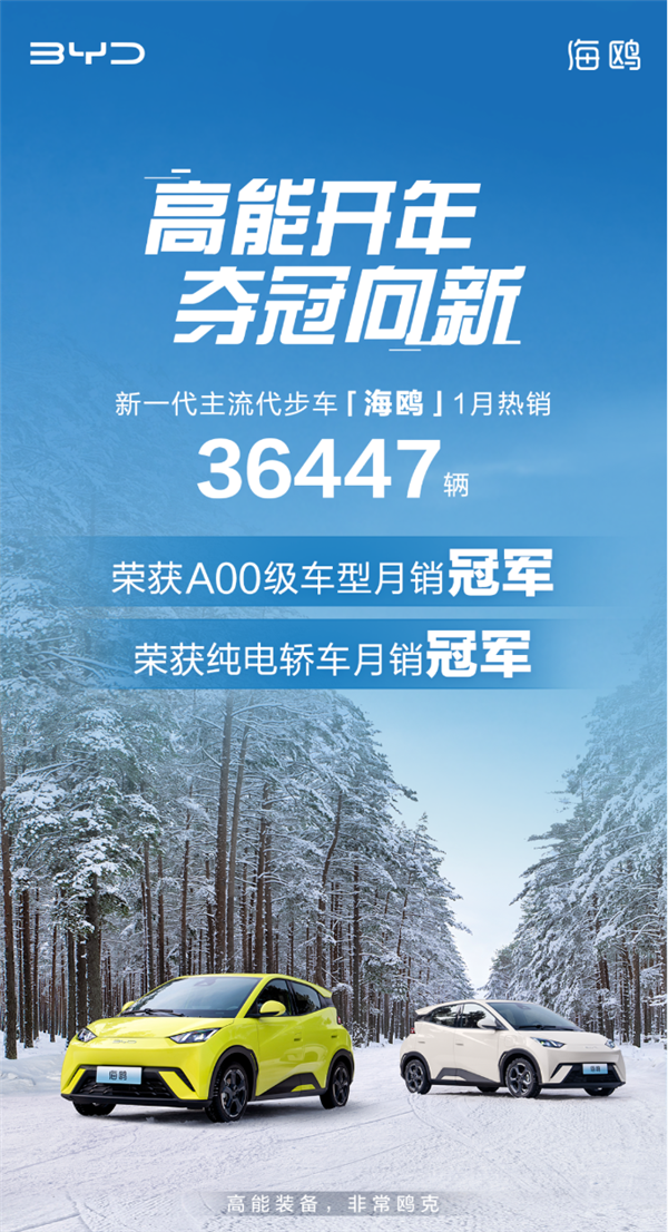 比亚迪海鸥称霸1月销量，成为A00级车和纯电轿车双料冠军