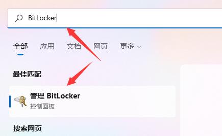 如何在Win11中对驱动器进行加密操作？Win11驱动器加密步骤分享