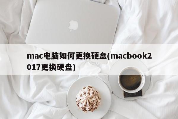 如何在2017款MacBook上替换硬盘