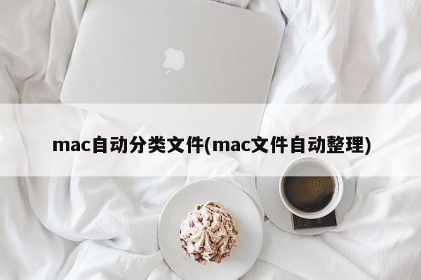 Mac文件自动排序功能
