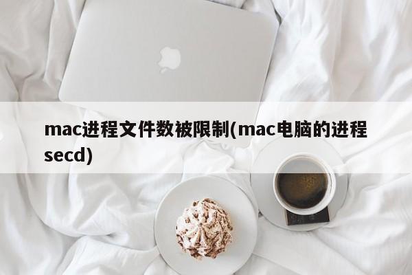 mac电脑中的secd进程被限制了文件数