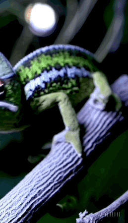 效果炸裂！OpenAI首个视频生成模型发布，1分钟流畅高清，网友：整个行业RIP