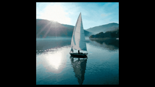 谷歌AI新星转投Pika:视频生成Lumiere一作,担任创始科学家