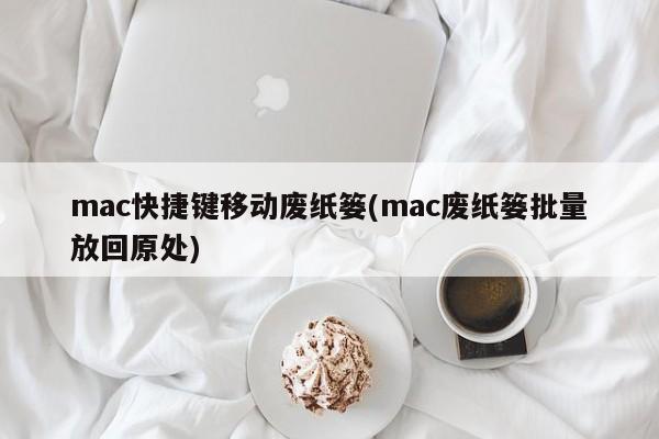 mac快速恢复废纸篓中的文件