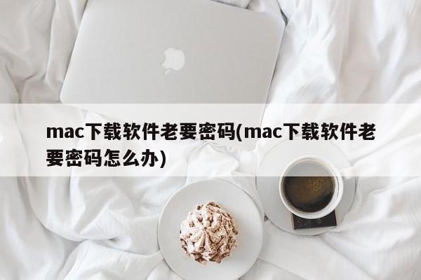 解决mac下载软件需要密码问题