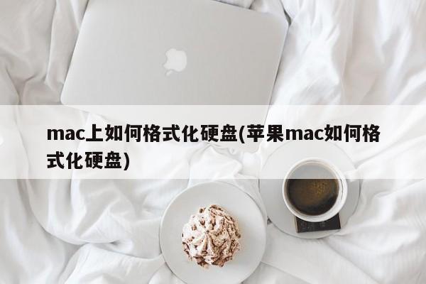 如何在Mac电脑上清除并重格式化硬盘