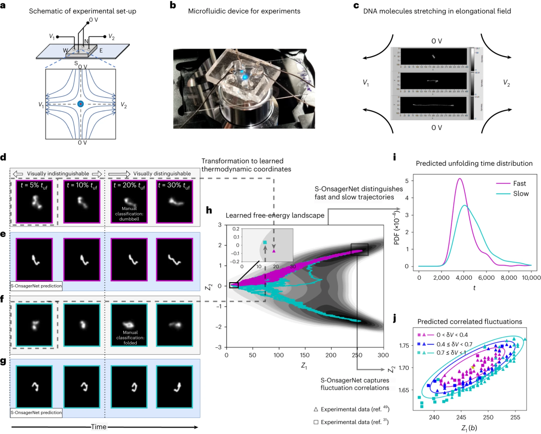 基于广义 Onsager 原理的 AI 平台,构建自定义热力学