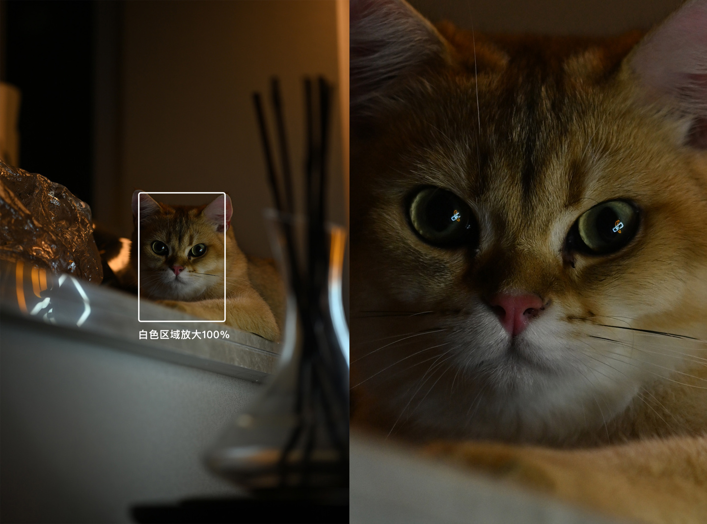 【IT之家评测室】画质与操控兼备的水桶旗舰相机,尼康Z 8 体验评测