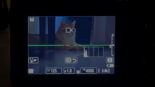 【IT之家评测室】画质与操控兼备的水桶旗舰相机,尼康Z 8 体验评测