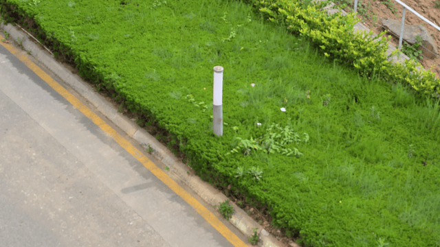 【IT之家评测室】画质与操控兼备的水桶旗舰相机,尼康Z 8 体验评测