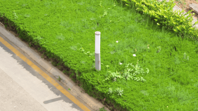 【IT之家评测室】画质与操控兼备的水桶旗舰相机,尼康Z 8 体验评测