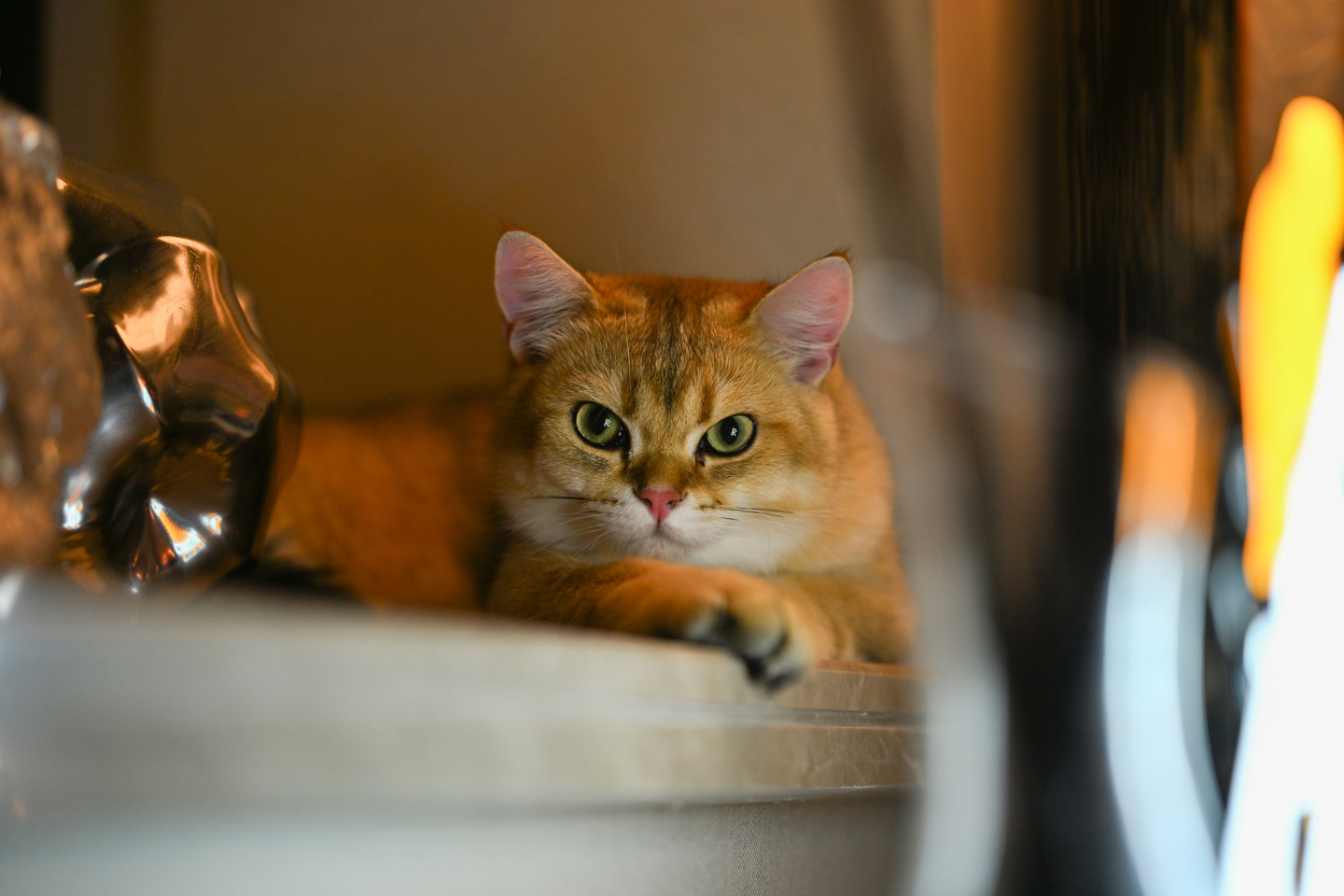 【IT之家评测室】画质与操控兼备的水桶旗舰相机,尼康Z 8 体验评测