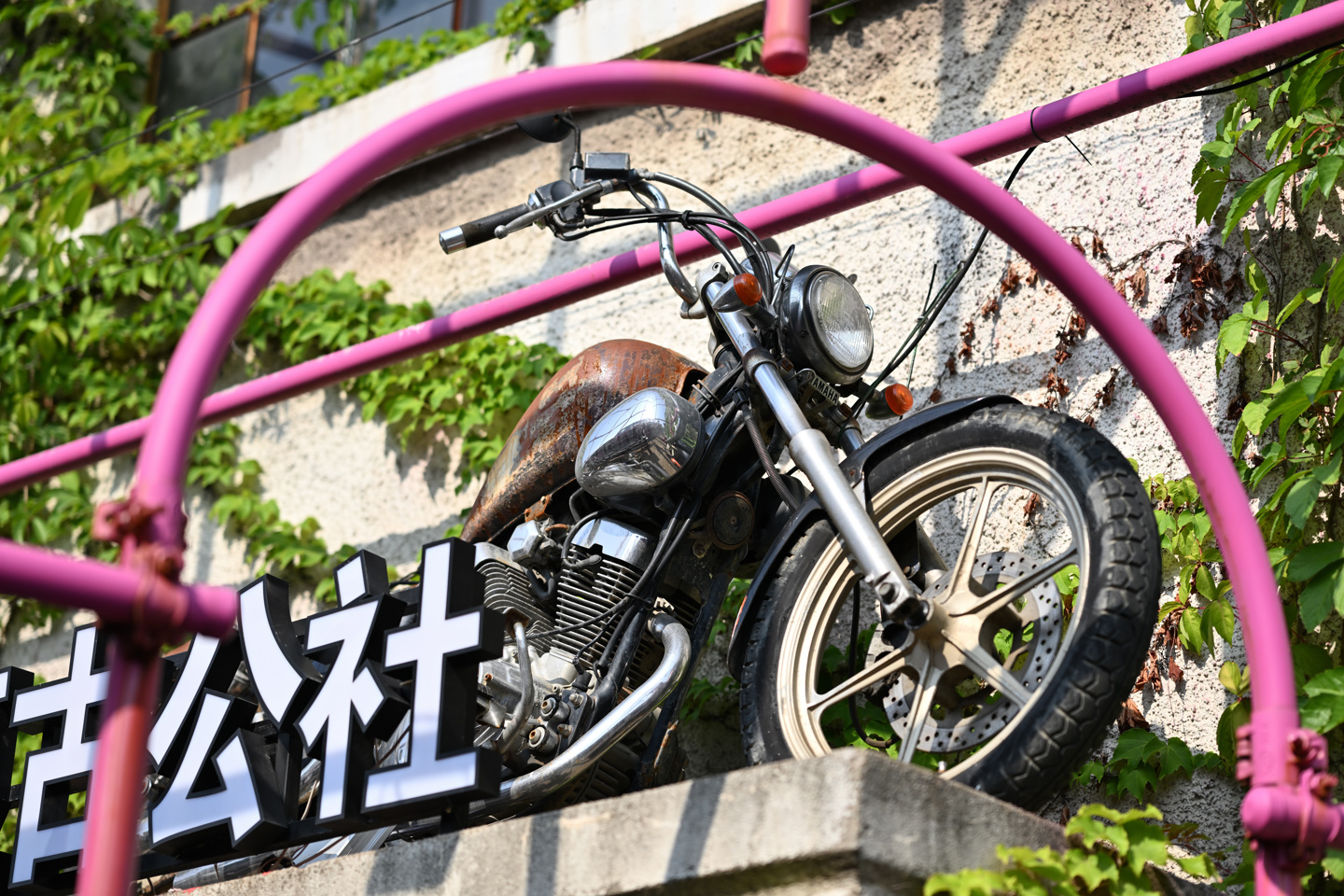 【IT之家评测室】画质与操控兼备的水桶旗舰相机,尼康Z 8 体验评测