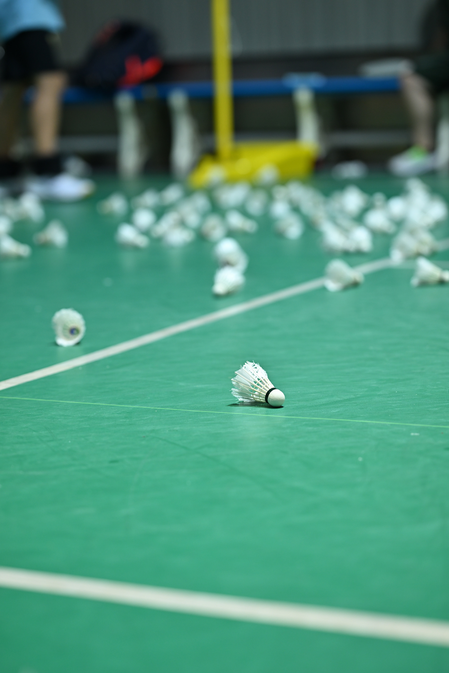 【IT之家评测室】画质与操控兼备的水桶旗舰相机,尼康Z 8 体验评测