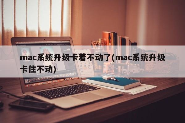 mac系统升级无法进行（mac系统升级停滞不前）