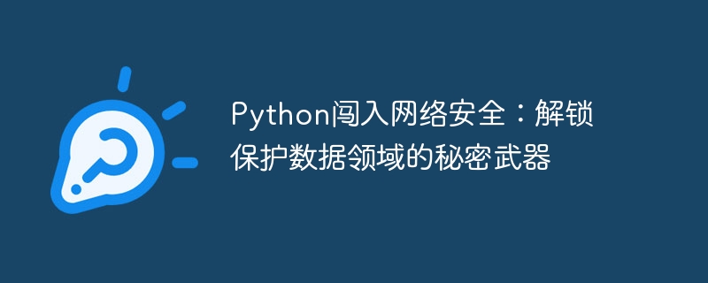Python闯入网络安全：解锁保护数据领域的秘密武器