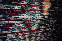 Java Hibernate 框架深度剖析：提升持久层效率