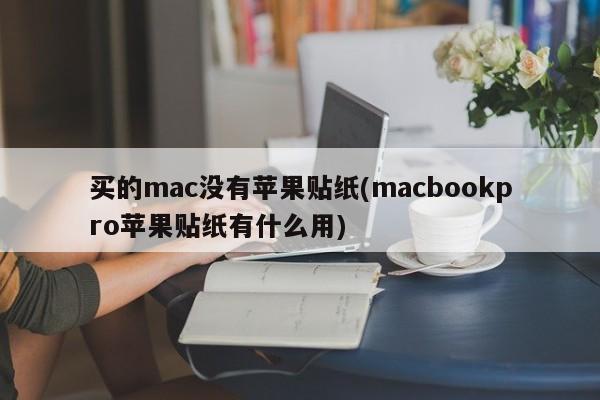 买的mac没有苹果贴纸(macbookpro苹果贴纸有什么用)