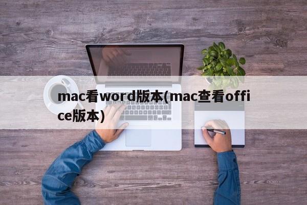 在Mac上查看Office版本
